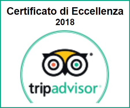 trip-advisor