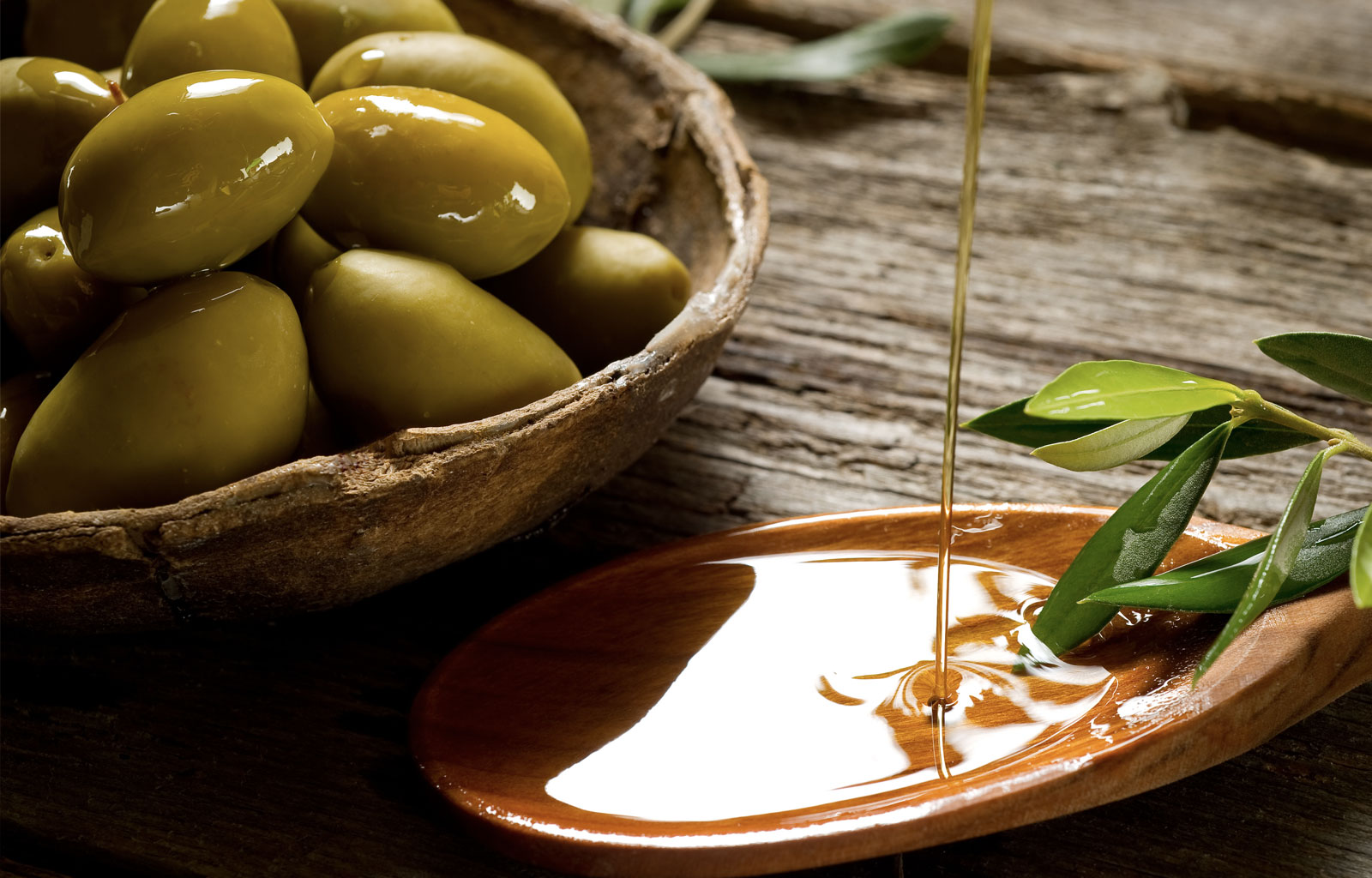 offerta-raccolta-olive